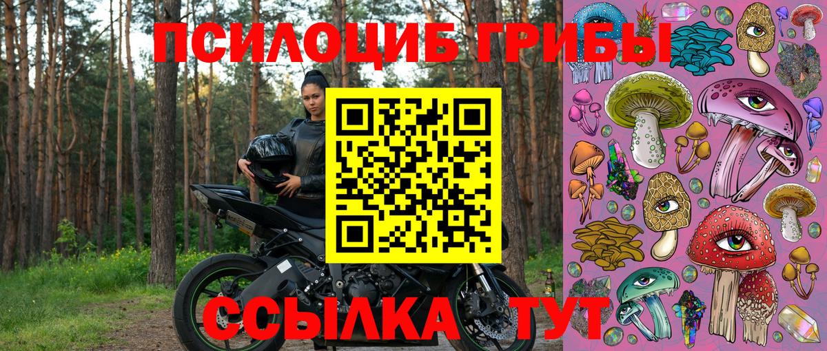 Галлюциногенные грибы Magic Shrooms  где найти наркотики  Якутск  Вход с VPN 