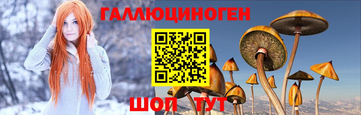 Галлюциногенные грибы прущие грибы Якутск